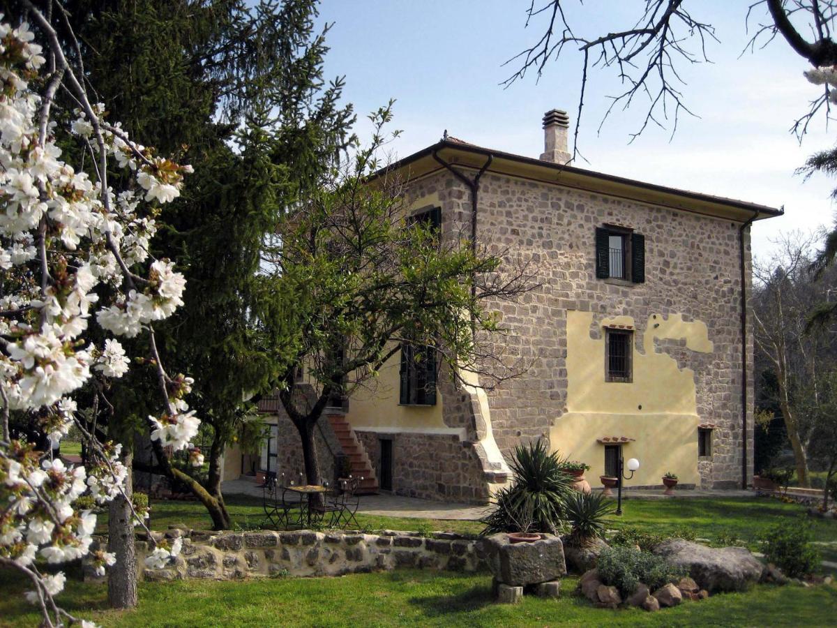 San Processo