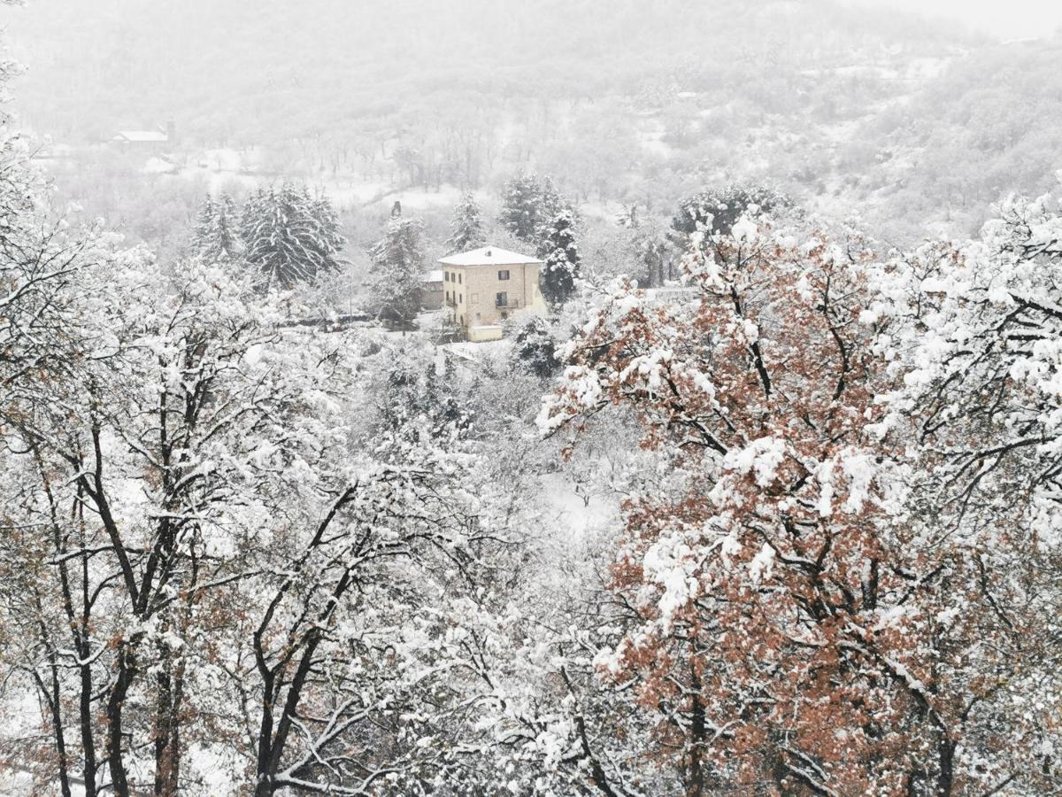 Bauernhof San Processo Castel del Piano (Tuscany)