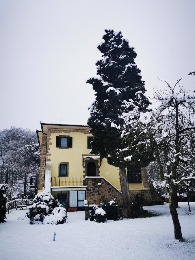 Bauernhof San Processo Castel del Piano (Tuscany)
