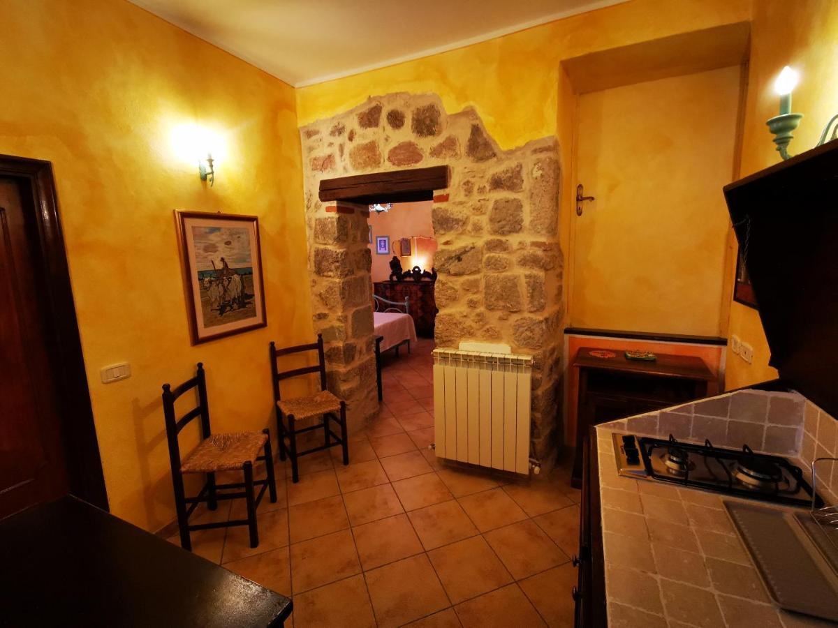 Bauernhof San Processo Castel del Piano (Tuscany)