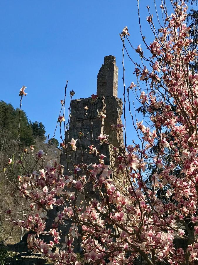 San Processo
