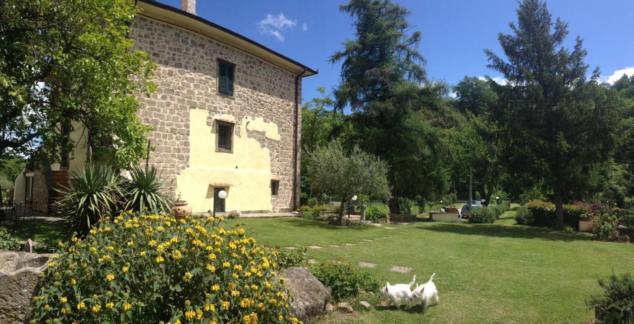 San Processo Bauernhof Castel del Piano (Tuscany)
