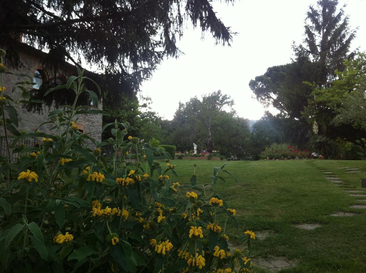 San Processo Bauernhof Castel del Piano (Tuscany)